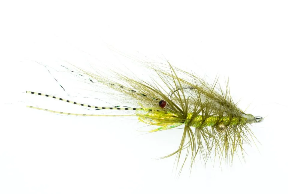 Chewy's Halo Shrimp