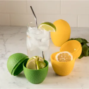 Lemon & Lime Saver