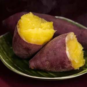 Sweet Potato 'Erato White' Plant