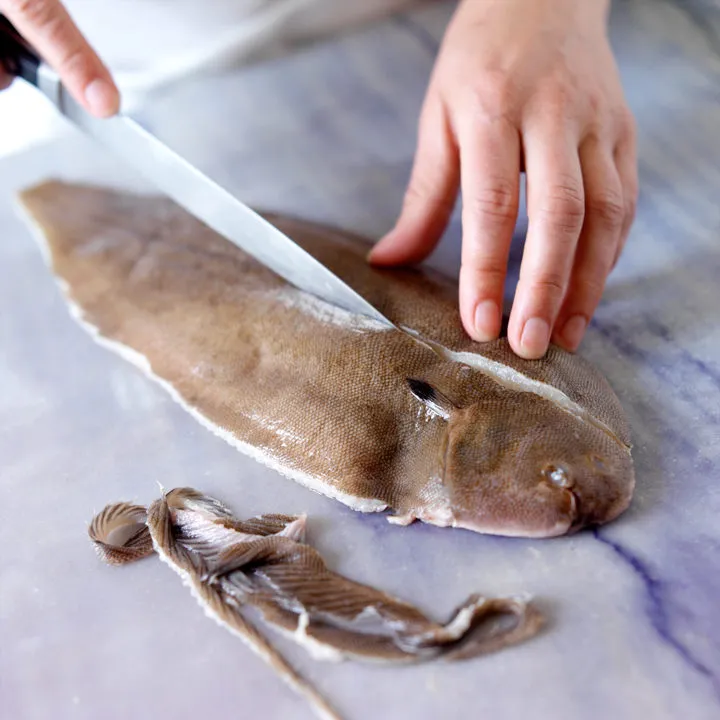 Wild Dover Sole