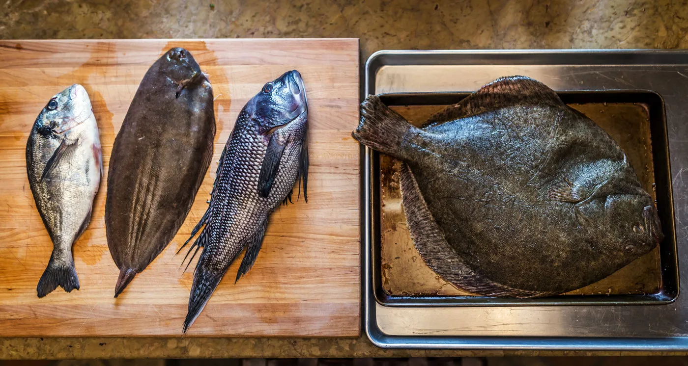 Wild Dover Sole